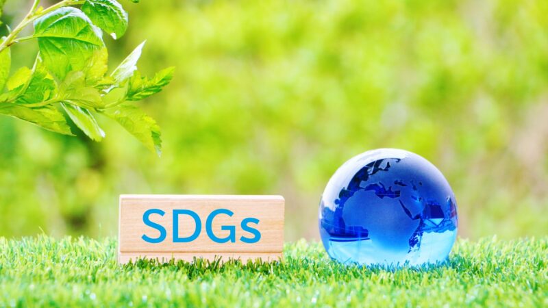 SDGsとゴミ問題｜世界が直面する課題と日本・企業・個人の取り組みとは？ 